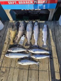 Limited in 3 hours. Amazing fish