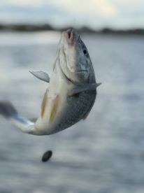 September fishing trip