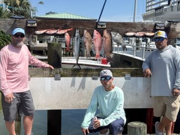 Best captain in the southern hemisphere 