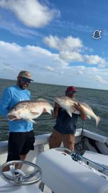 Half day pm (inshore)