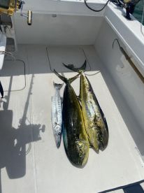 Superior experience, can only recommend!!