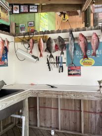 Fishing with Capt Cole