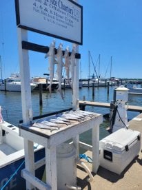 Frist time deep sea fishing 