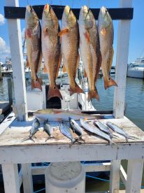 Frist time deep sea fishing 