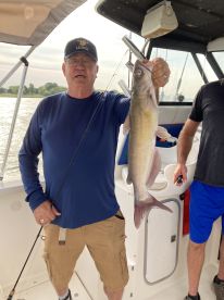 Caught our limit in catfish