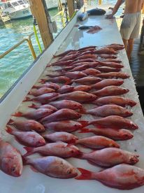 Six Shooter Charters