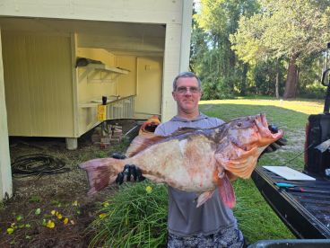 Excellent killing spree!!