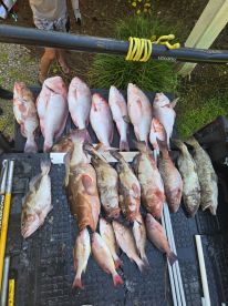 Excellent killing spree!!