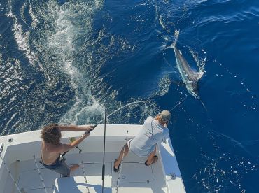 Great all around experience!