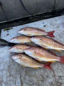 Family trip\/Birthday gift for 13 year old Son