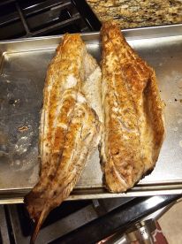 Great guy - knowledgeable Captain