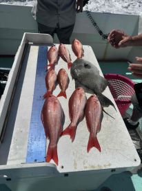 September fishing trip