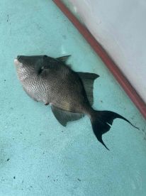 September fishing trip