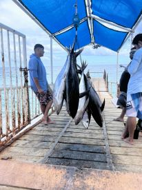 great guids. highly recommend.  