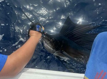 Beautiful day brought out somd beautiful fish