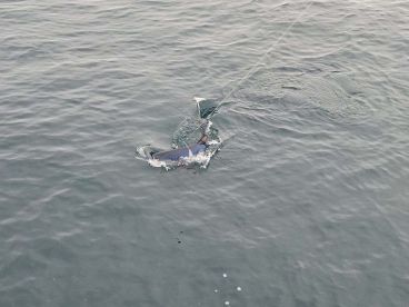 September fishing trip