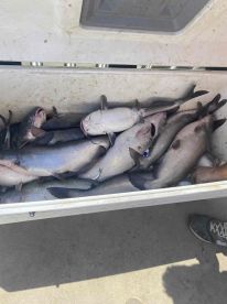 great trip and guide