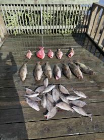 Awesome Fishing Experience 