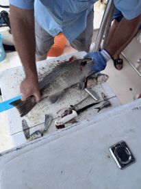 Awesome Fishing Experience 