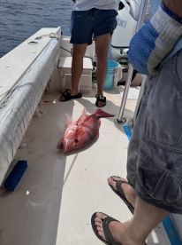 Awesome Fishing Experience 