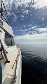 Captain and Crew \u2b50\u2b50\u2b50\u2b50\u2b50