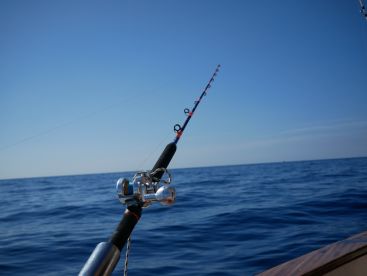 Perfect day with captain Luigi and Angela!