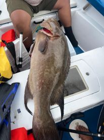 Coast fishing