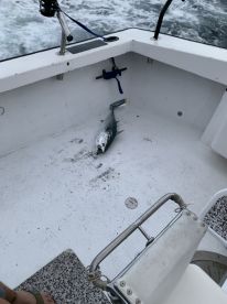 Trip of a lifetime!!!