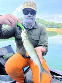 2 days 1 night yellow cheek fishing 