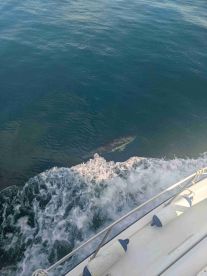 Fishing in the Red Hunter