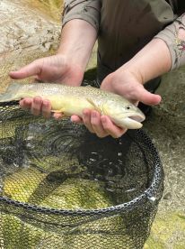 Beautiful River, Great Guide