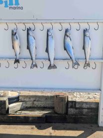 Perfect Day on the Water