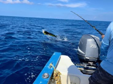 Great fishing experience 