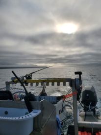 Amazing time! We caught so many fish and the captain taught us so much!