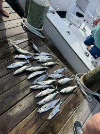 Unforgettable Day on the Water with Captain Tommy!