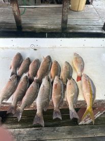 Awesome Trip as Usual! 