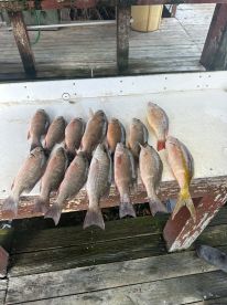 Awesome Trip as Usual! 