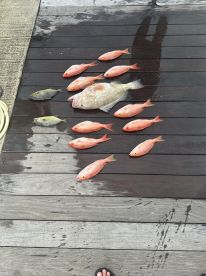 Great time with a knowledgeable captain 