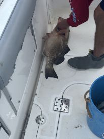 Great time with a knowledgeable captain 