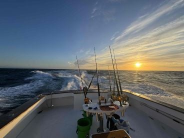 Slow Bite, Stellar Service   