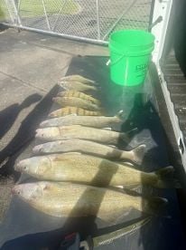 Great Anniversary Fishing 