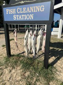 BEST CHARTER AND CAPTAIN 