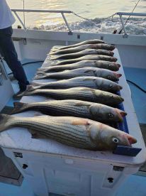 10\/10 would recommend to a friend. 