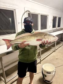 Great Red Drum Bite!