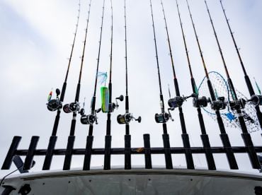 Captain Darren was great...