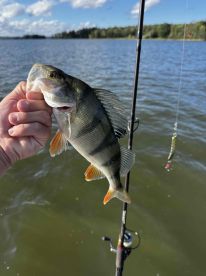 Fantastic experience!