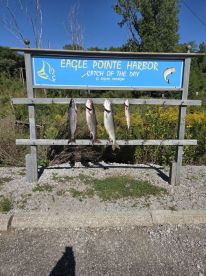 4 fish on board including a 17 pound lake trout