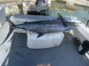 fishing with the swordfish crew
