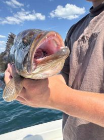 We had the best day!!  