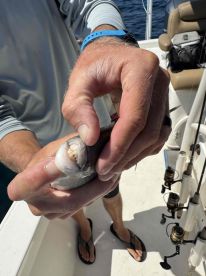 We had the best day!!  